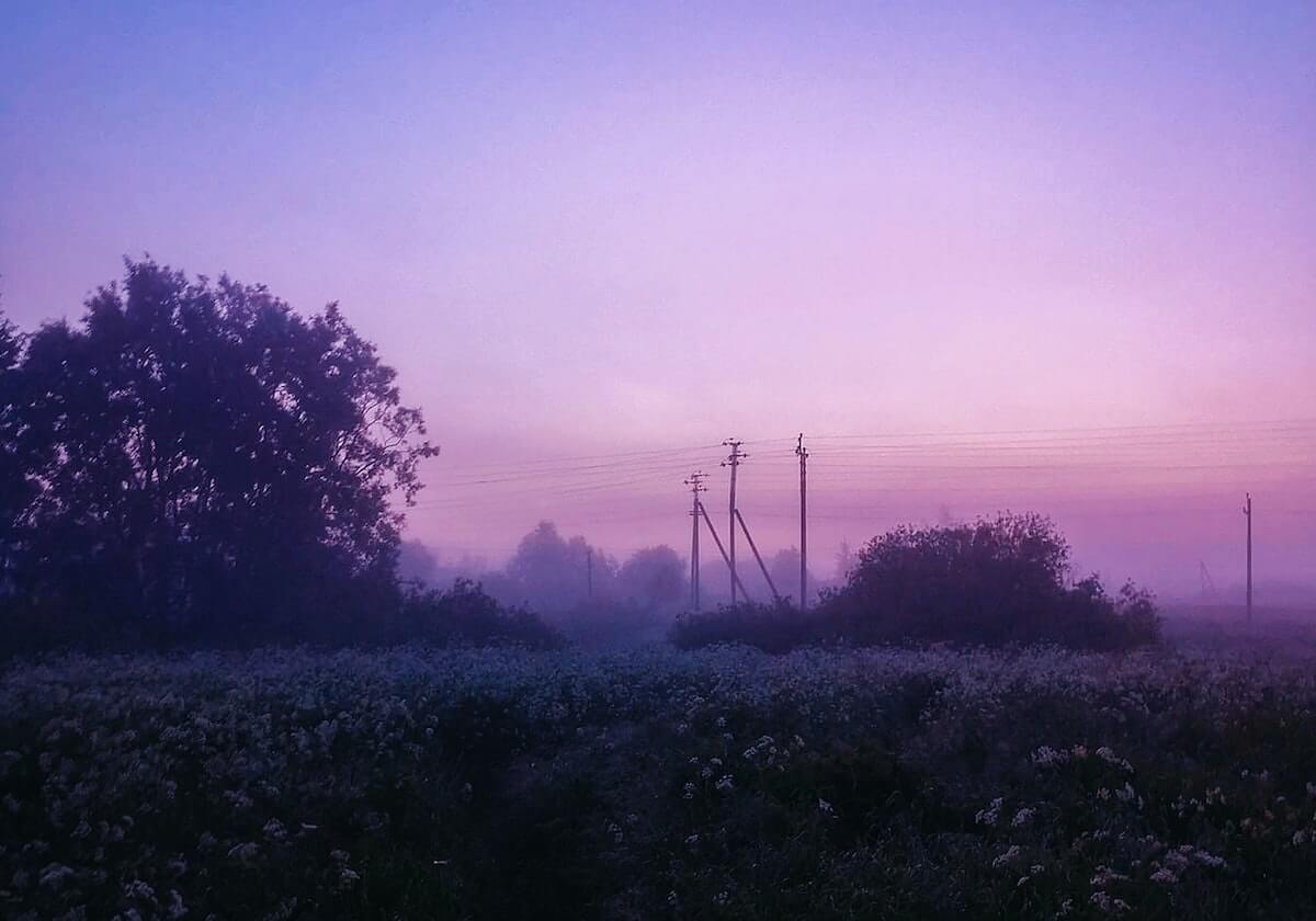 开云官网-印尼羽毛球大师赛：陈雨菲获女单冠军