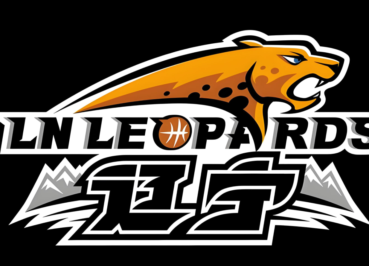 开云官网-辽宁队好消息！接下来进入甜蜜期，有望收获4连胜